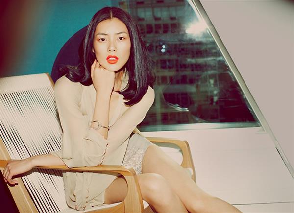 Liu Wen