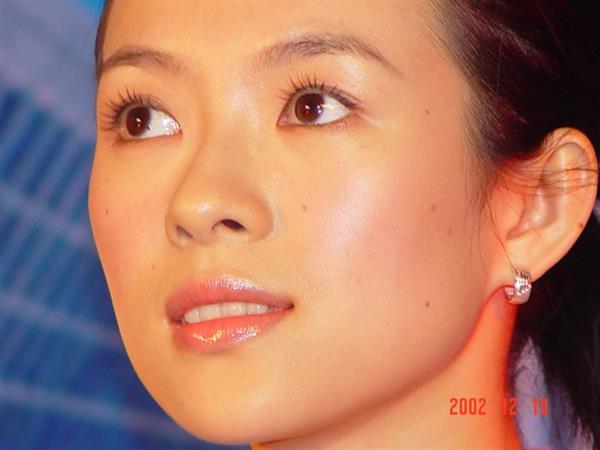 Zhang Ziyi