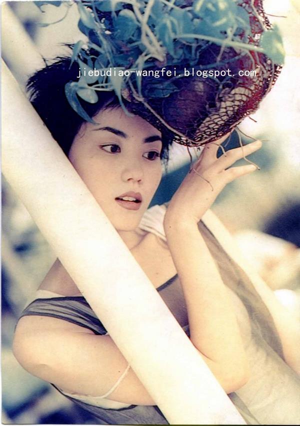 Faye Wong