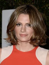 Stana Katic  Mandela: Long Walk To Freedom  Los Angeles Premiere - Hollywood, Nov. 11, 2013 
