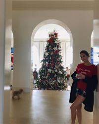 Sophia Rose Stallone