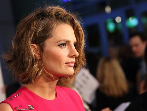 Stana Katic  CBGB  Los Angeles Screening - Oct. 1, 2013 