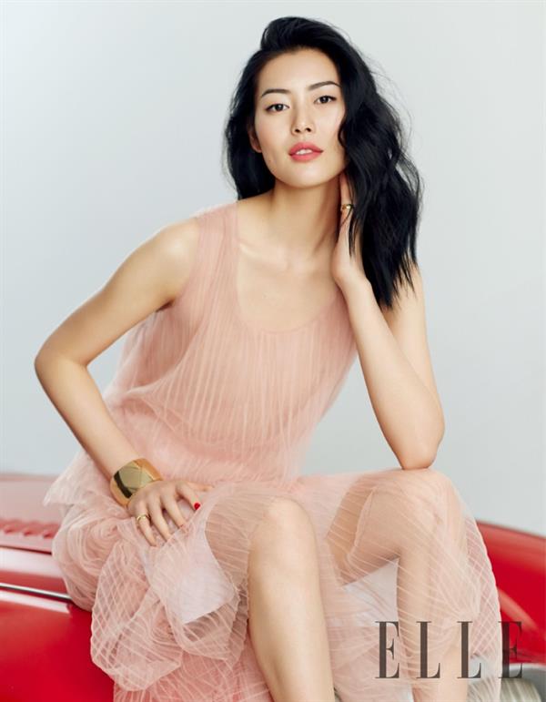 Liu Wen