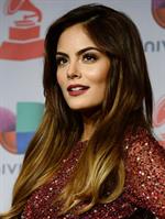 Ximena Navarrete