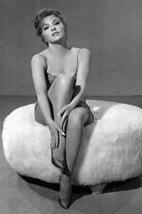 Gina Lollobrigida