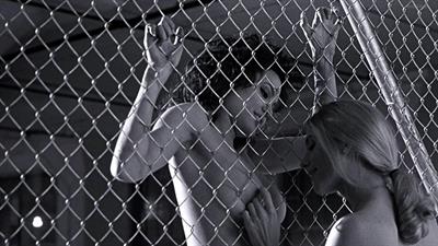 Angelina Jolie - breasts