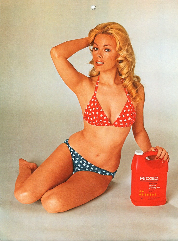 Dian Parkinson in a bikini