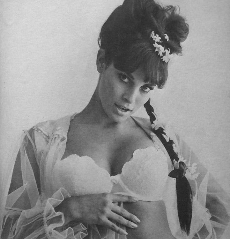 Raquel Welch in lingerie