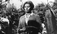 Sophia Loren