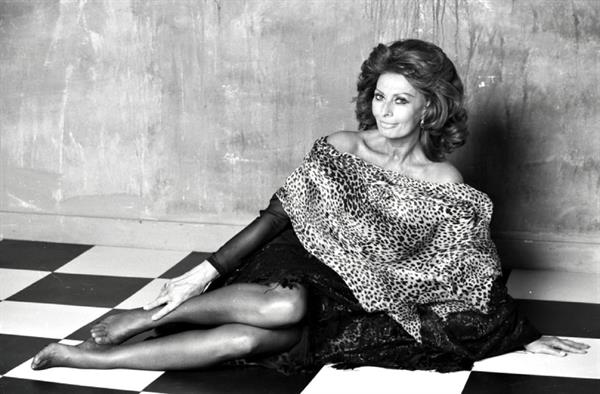 Sophia Loren