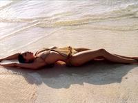 Laetitia Casta in a bikini