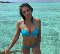 Elizabeth Hurley in a bikini