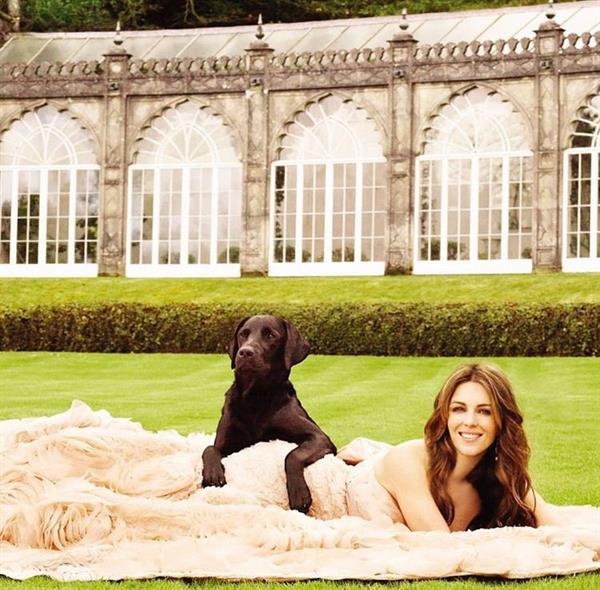 Elizabeth Hurley