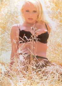 Jaime Bergman in lingerie