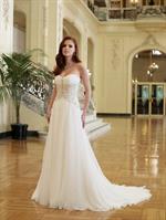 Alyssa Campanella