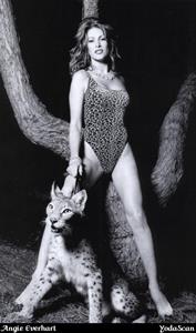 Angie Everhart in a bikini