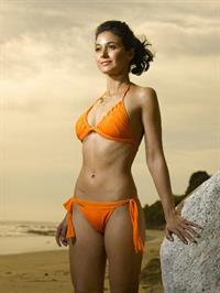 Emmanuelle Chriqui in a bikini