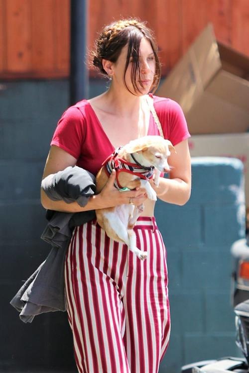 Scout Willis Pictures Scout Willis braless boobs in a small top seen by paparazzi.