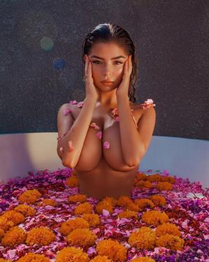 Demi Rose Mawby Nude Pictures In the tub