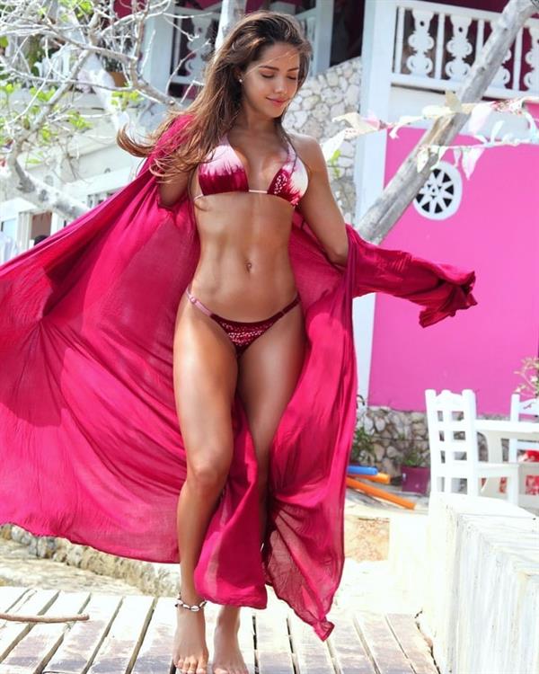 Silvy Araujo in a bikini