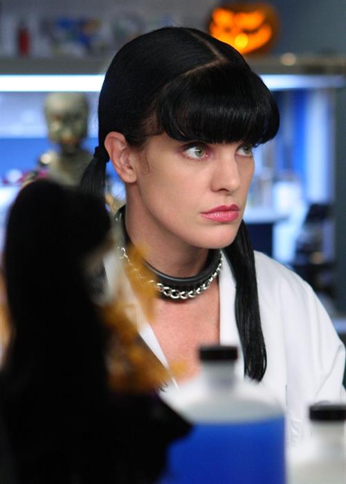 Pauley Perrette