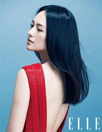 Zhang Ziyi