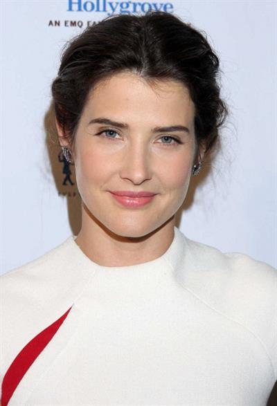 Cobie Smulders