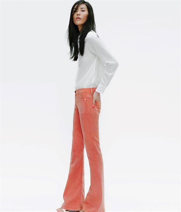 Liu Wen