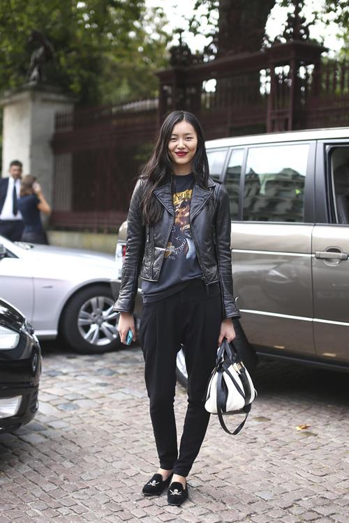 Liu Wen