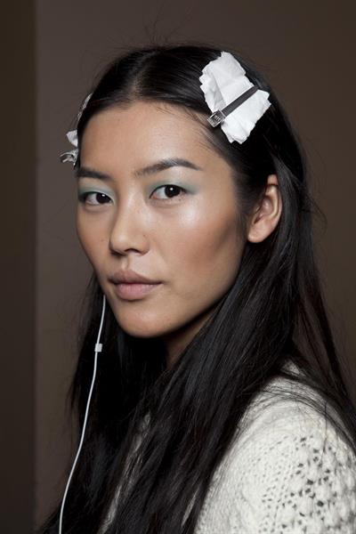 Liu Wen