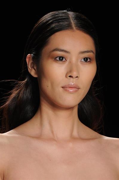 Liu Wen