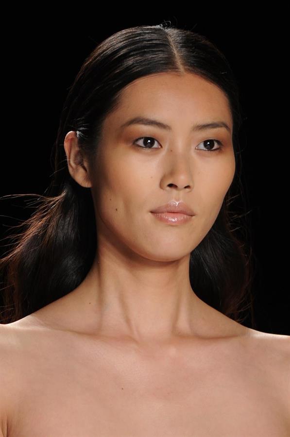 Liu Wen