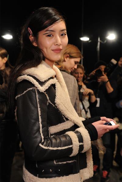 Liu Wen