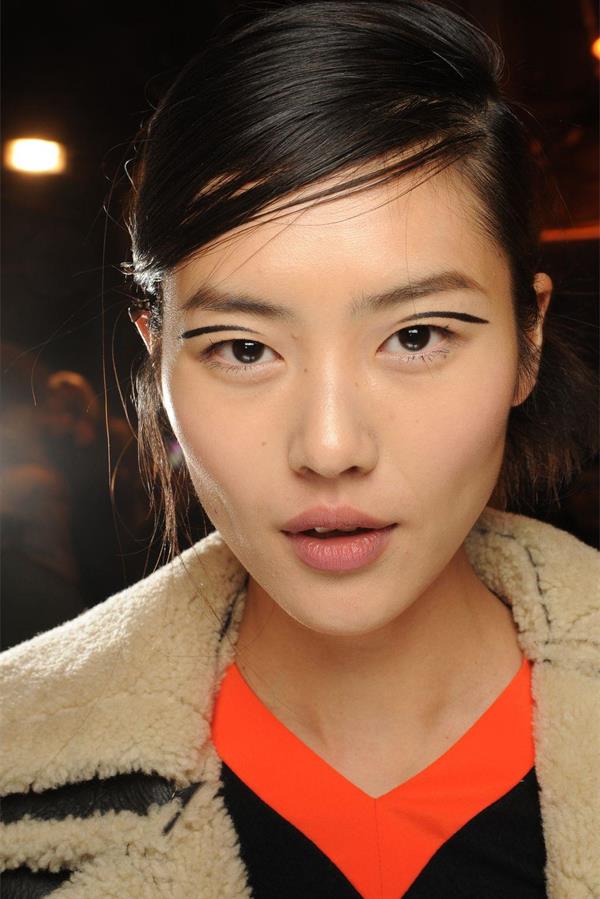 Liu Wen