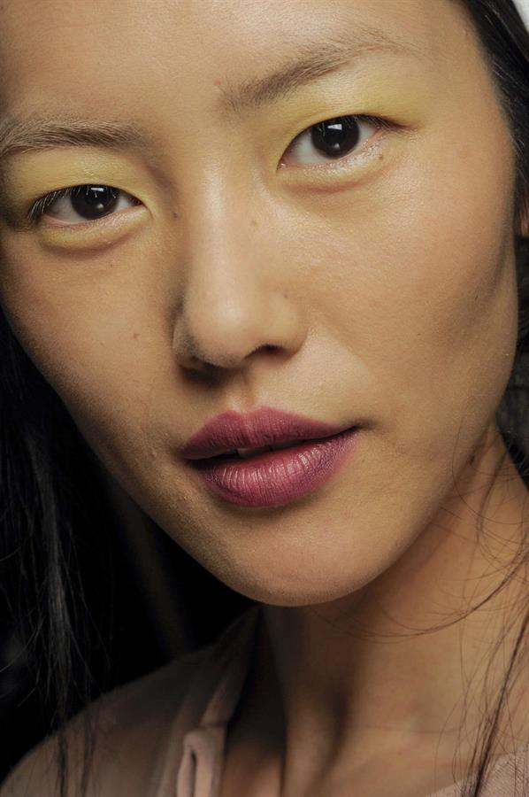 Liu Wen