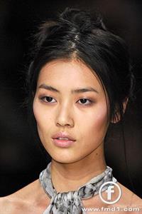 Liu Wen