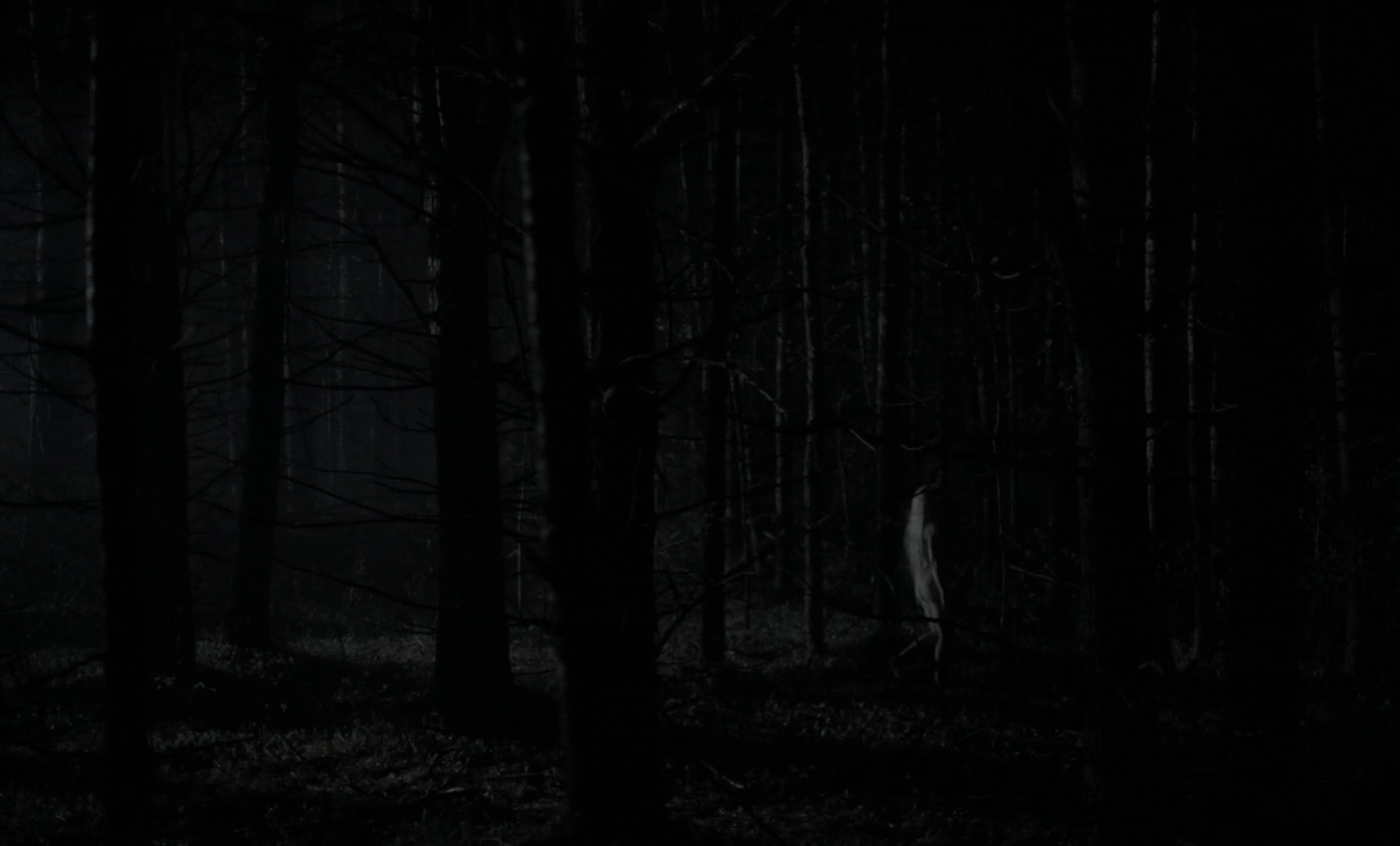 Anya-Taylor Joy in  The VVitch 