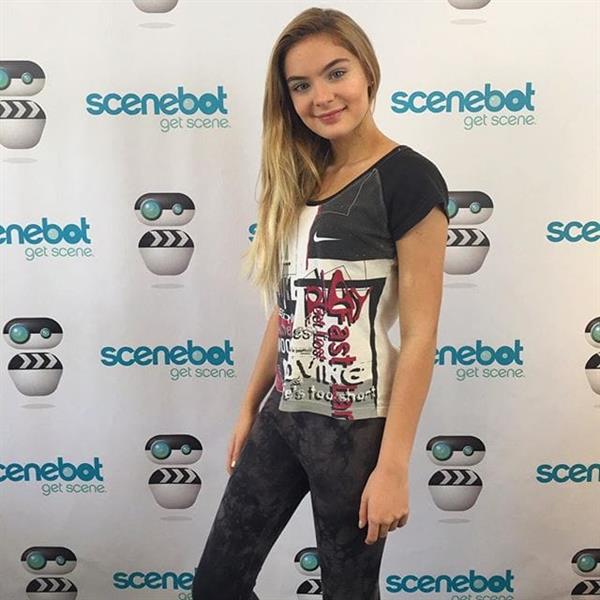 Brighton Sharbino