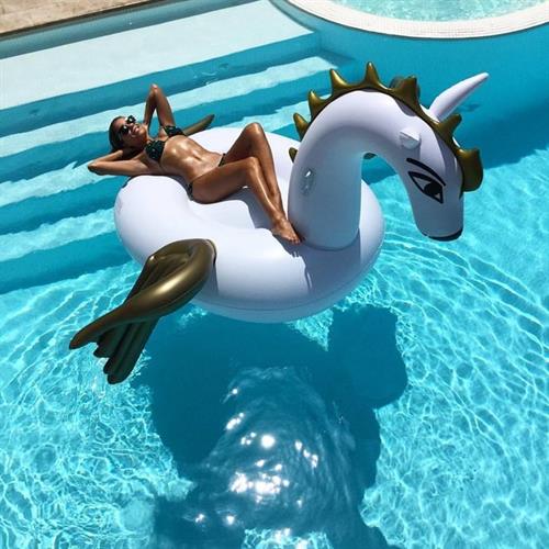 Sylvie van der Vaart