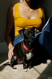 Rebel Tee Relaxing in her Room