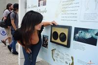 Denise Milani Snapshots - Aquarium