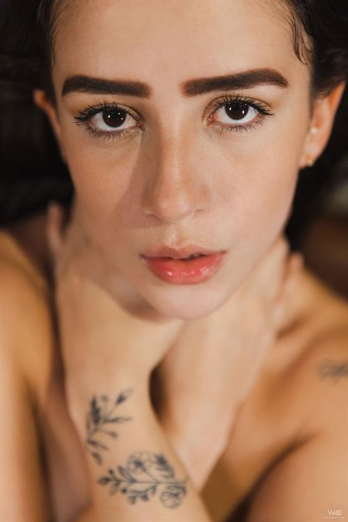 Lia Dumont Pictures Lia Dumont Oiled Brunette