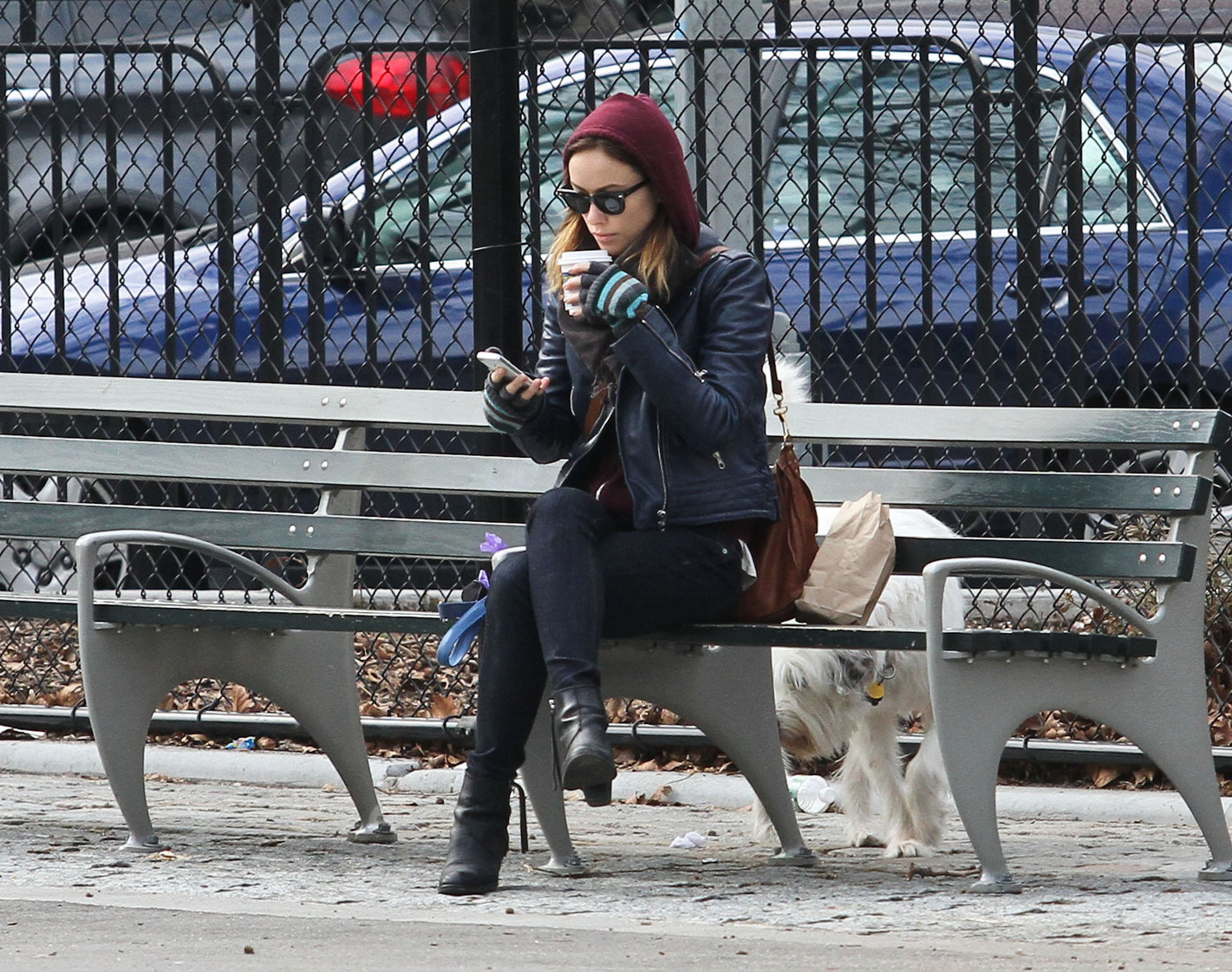 Olivia Wilde out walking her dog in New York City - February 16, 2013 