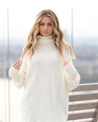 Polish-American Model