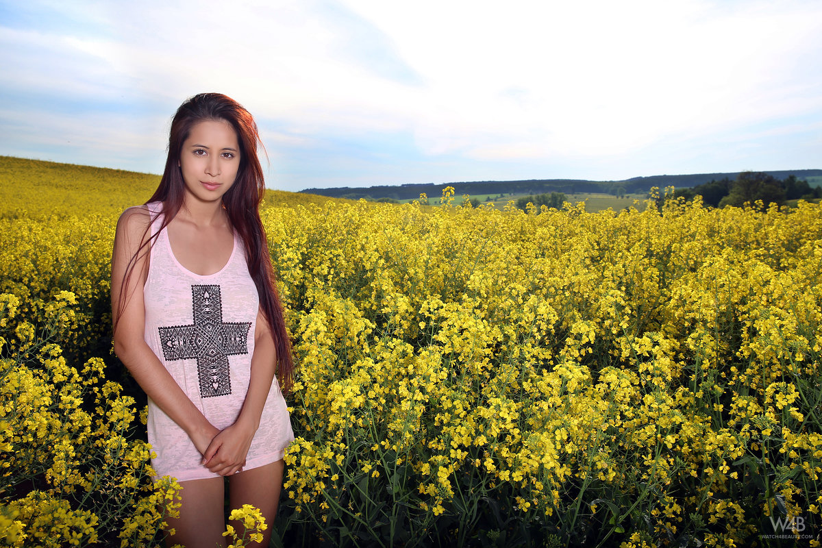 Paula Shy: Colza field