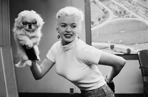 Jayne Mansfield