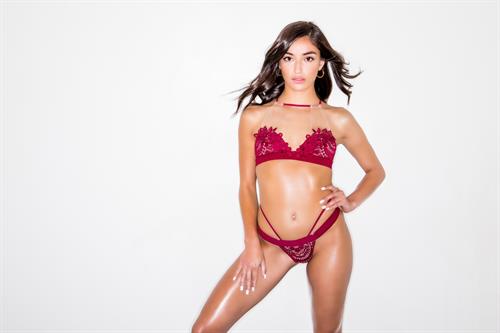 Emily Willis - Actress/Model/Adult Film Star/AVN Awards Winner