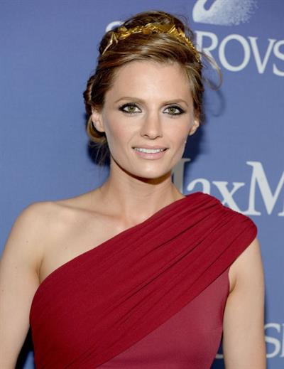 Stana Katic