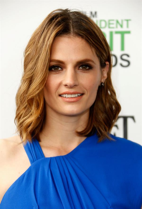 Stana Katic