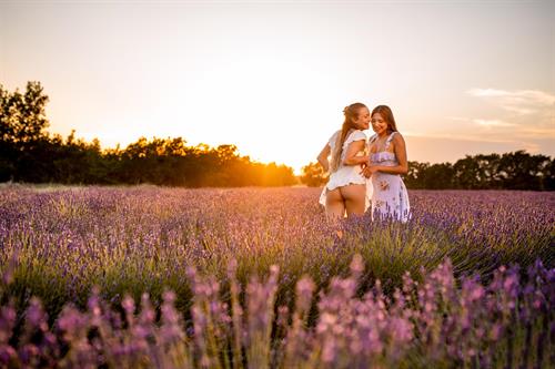 Vixen.com 08-27-2019 Naomi Swann & Talia Mint - Our Secret Place